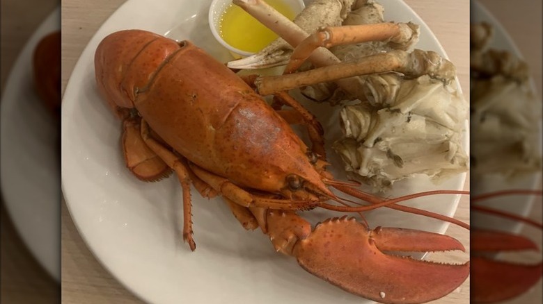 Whole cooked lobster on a plate