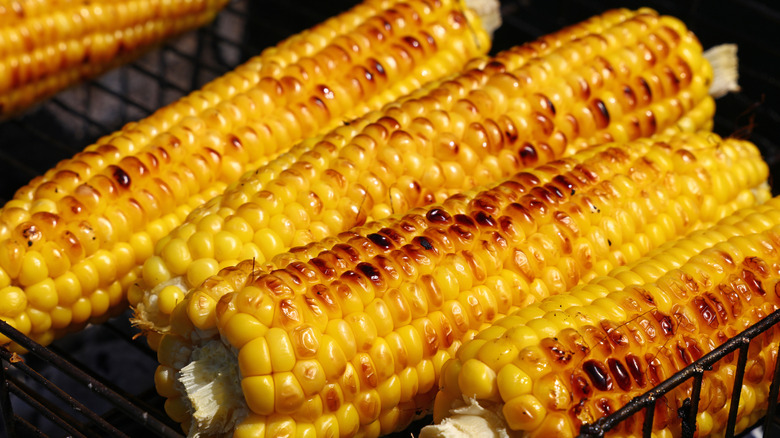Grilled corn on the cob