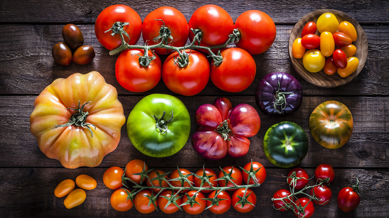 Tomato varieties