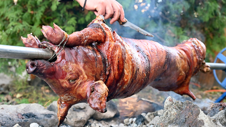 pig roasting over fire