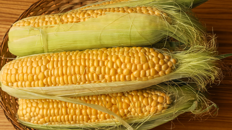 A pile of corn on the cob still partially in the husk