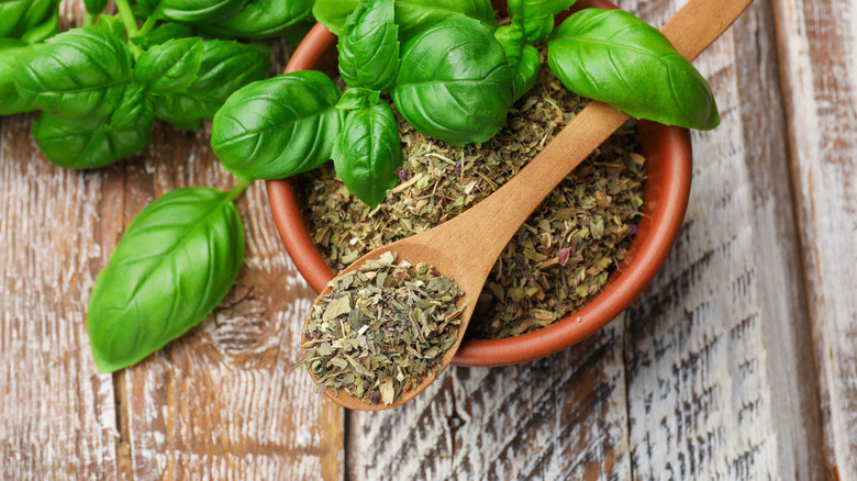 Dry basil leaves on wooden table adorned with fresh basil