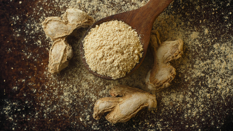 Ground ginger in wooden spoon surrounded by whole ginger roots up on dark background