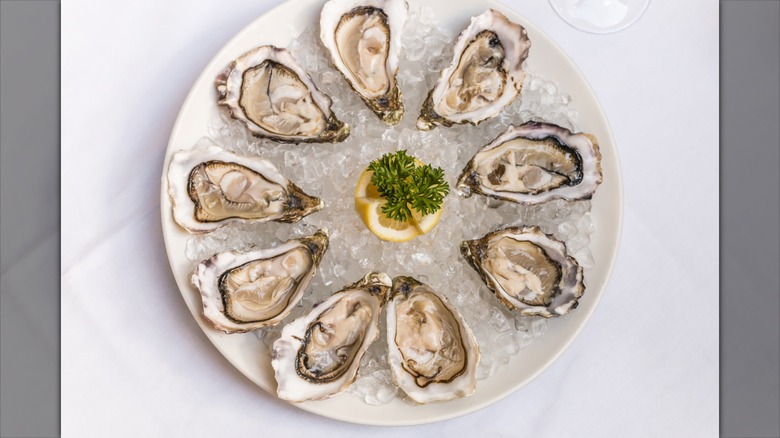 Raw oyster platter