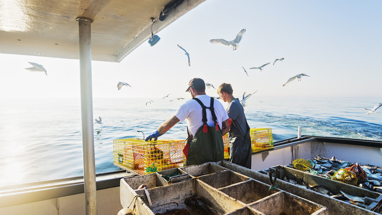 Fishermen off the coast of Maine