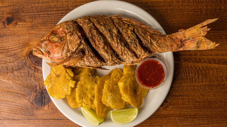 Fried red snapper and plantain