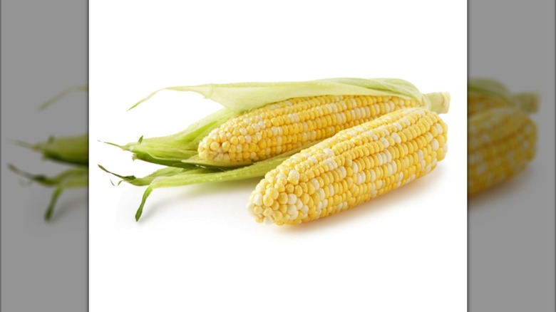 Two ears of corn, one husked and one with husk.