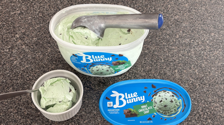 scoops of mint chocolate chip ice cream in a bowl and ice cream container