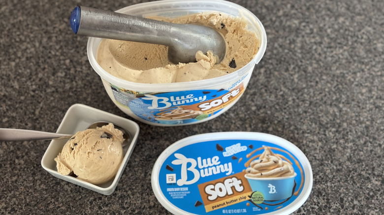 ice cream scoop in carton of peanut butter chocolate chip ice cream carton