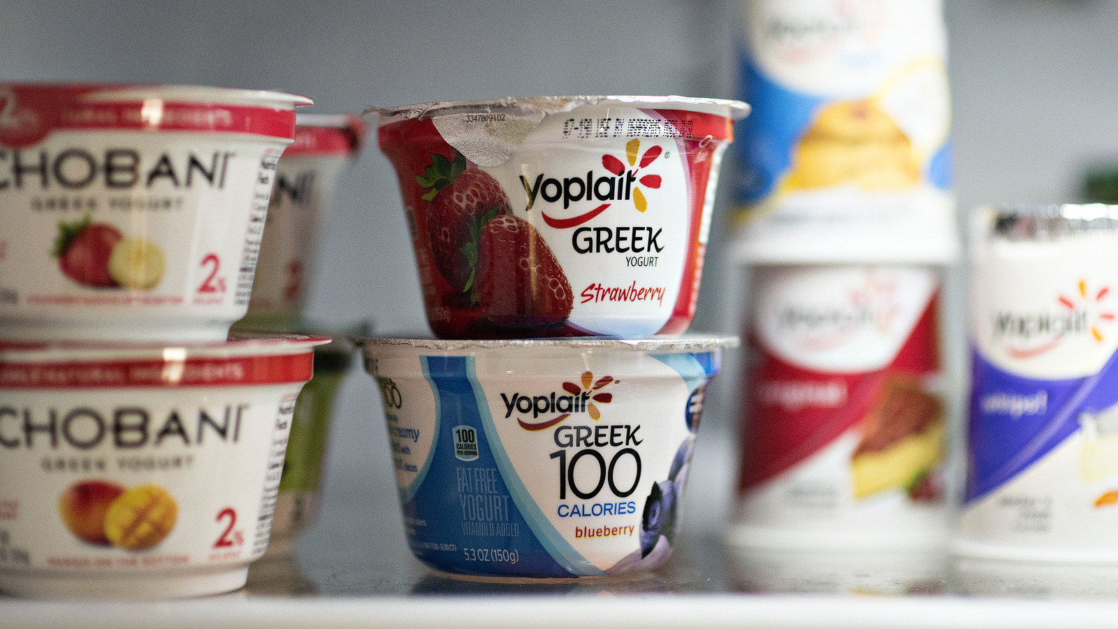 Sugarless Yogurt Brands