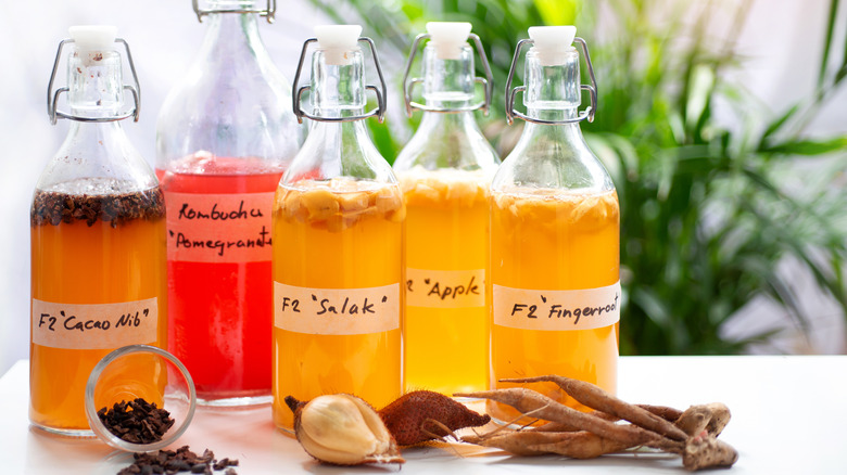 Kombucha probiotic tea bottles