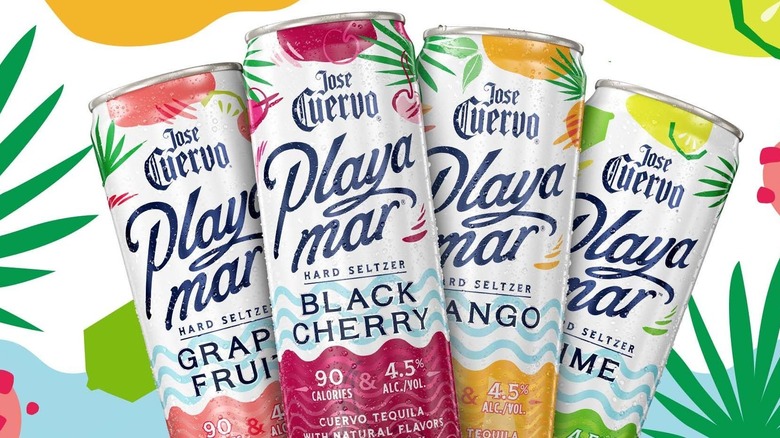 Jose Cuervo Playamar Tequila Seltzer