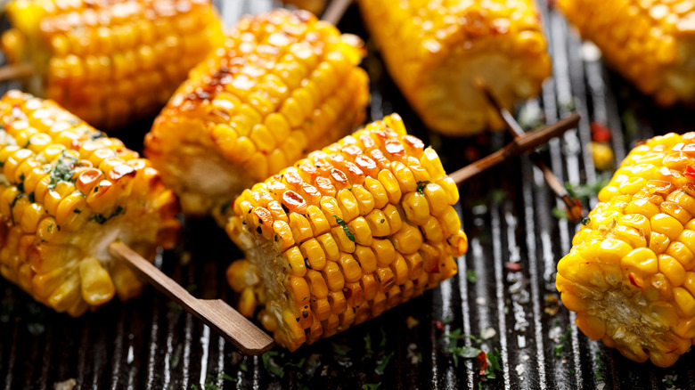 corn on the cobs grill