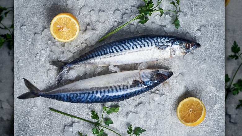 raw fish and sliced lemon