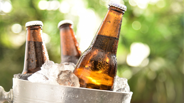 Bottles in bucket of ice