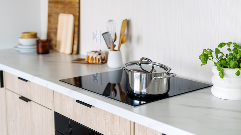 Stainless steel pot sitting on glass stove top in tidy kitchen.