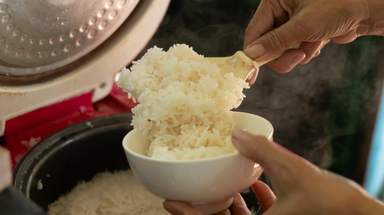 Hands scooping rice into bowl from rice cooker