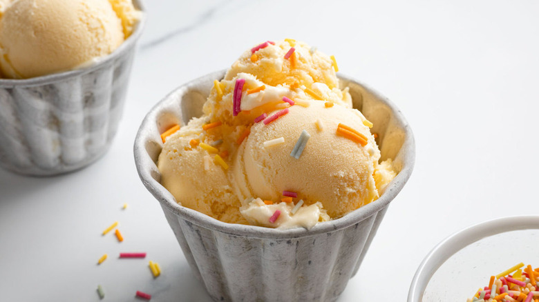 vanilla ice cream with sprinkles