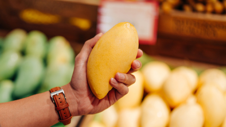 Hand holding a mango.