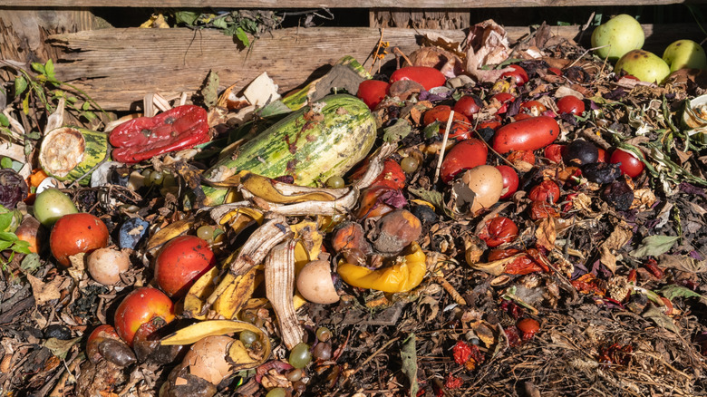 Garden compost with vegetable and fruit scraps