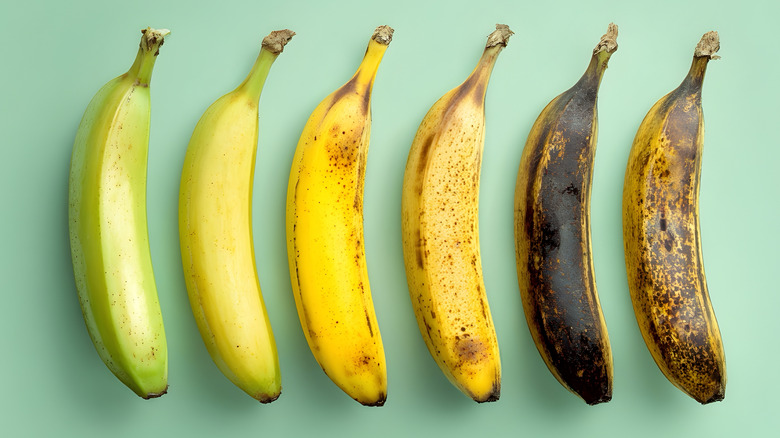 Bananas at different stages of ripeness