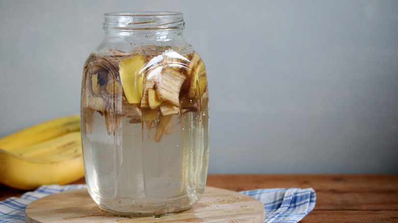Chopped-up banana peels soaking in water to make fertilizer