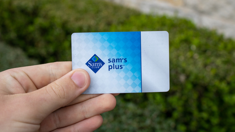 person holding sam's club plus membership card