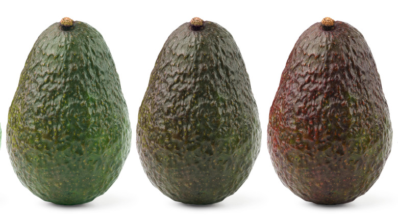 Closeup of different avocado skin colors