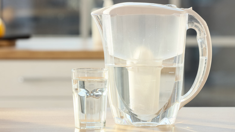 Water filter pitcher on counter
