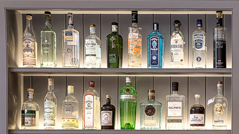Gin bottles on shelves
