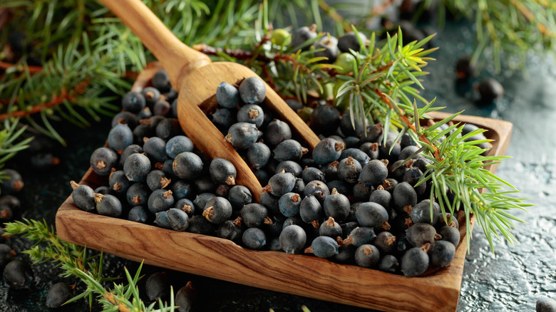 Juniper berries