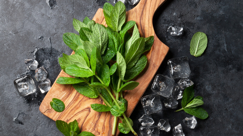 Fresh mint stems with ice and cutting board.