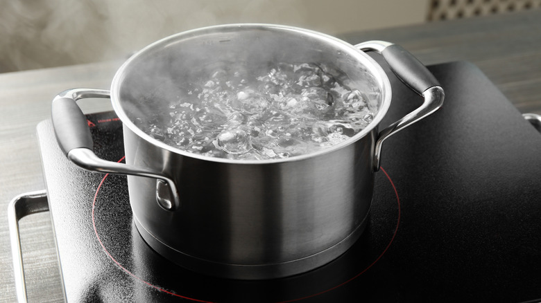 Water boiling in pot on hot plate