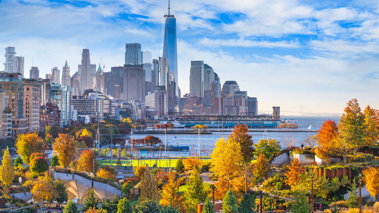Downtown Manhattan skyline