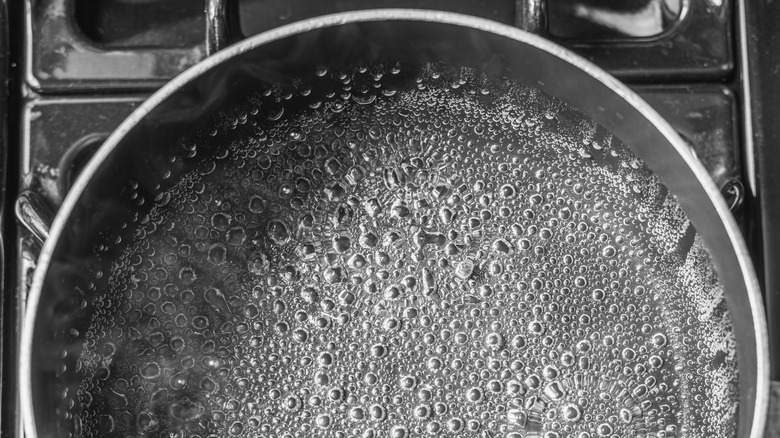 Bubbling boiling water in a black pan on a stovetop