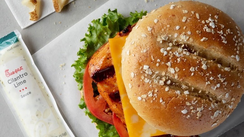 Multigrain brioche bun chicken sandwich with cheese and tomato