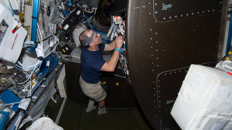 Mission Specialist Donald Pettit works to configure the Water Recovery System (WRS) rack in the ISS U.S. lab.