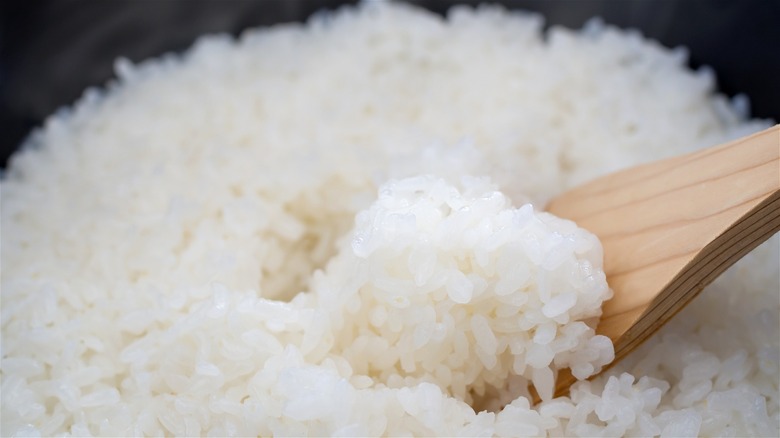A wooden spoon scoops up rice that looks fine at first glance, but is just slightly undercooked.