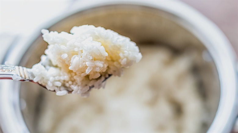 Close-up shot of undercooked rice on a metal spoon, showing the hard, rough surface of the grains.