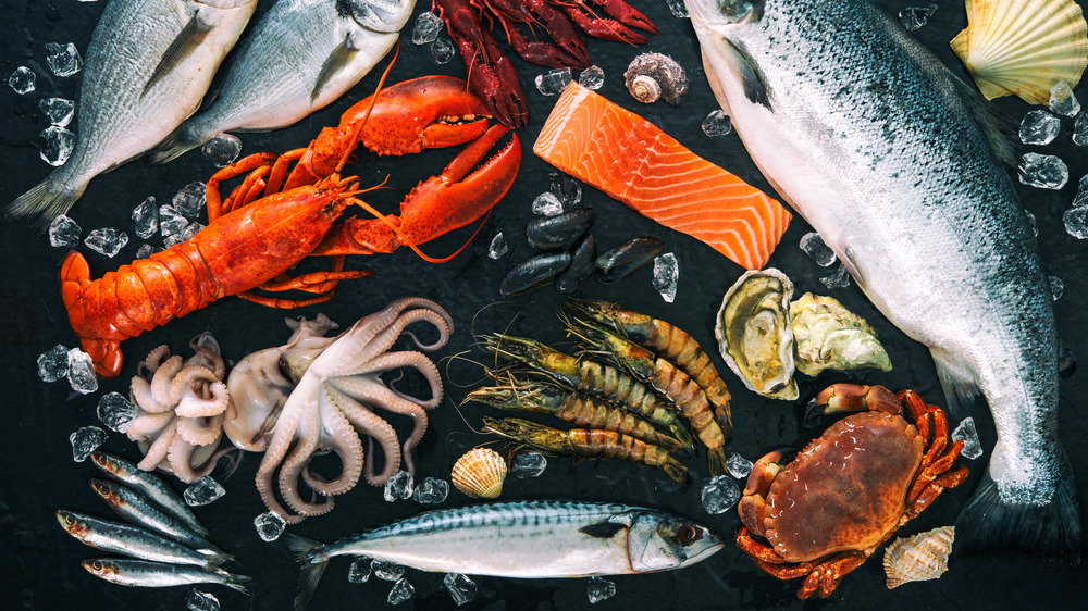 seafood spread black background