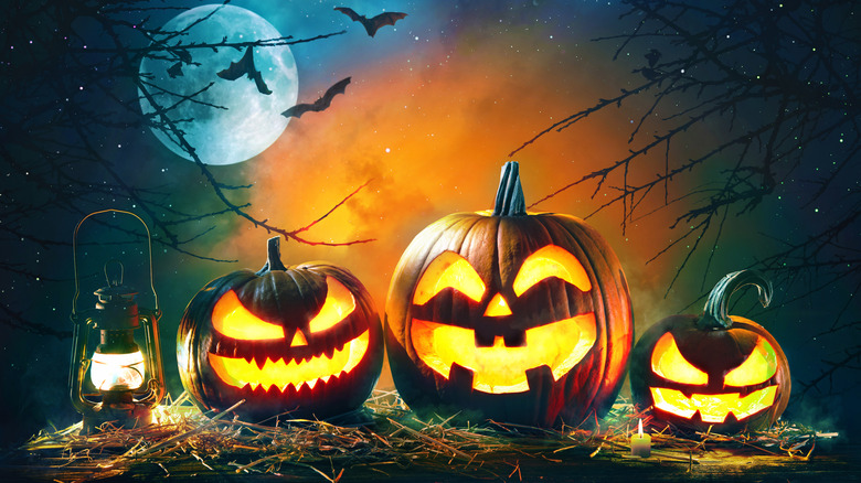 Pumpkins moon bats spooky setting