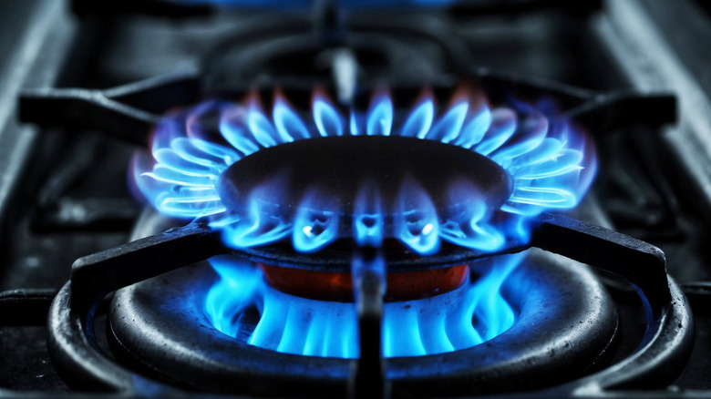A blue flame on a gas stove
