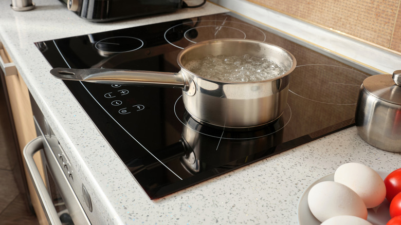 Water boils in a pot on an induction cooktop.