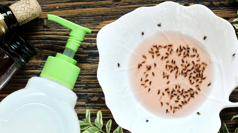 Fly trap with bottles bowl