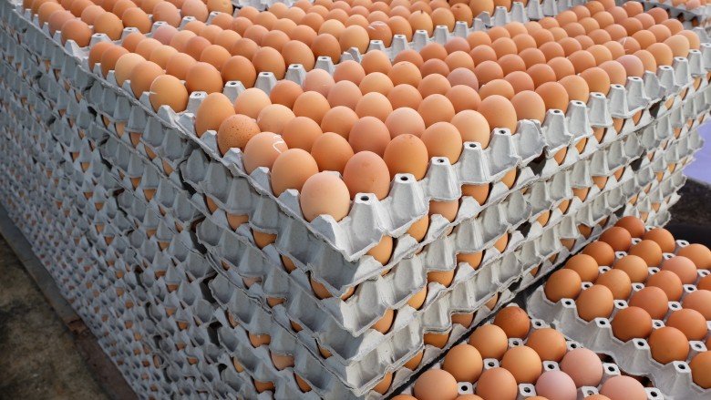 Eggs