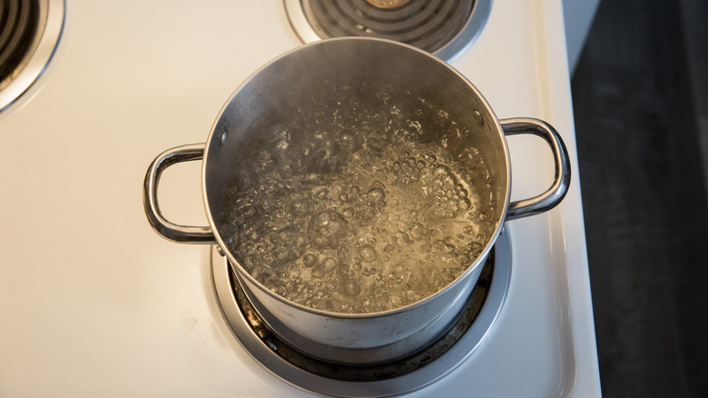 water boiling in medium pot
