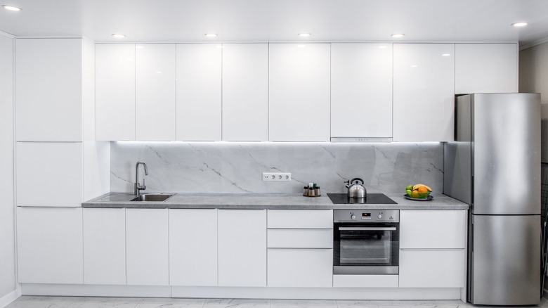 Monochrome all white kitchen