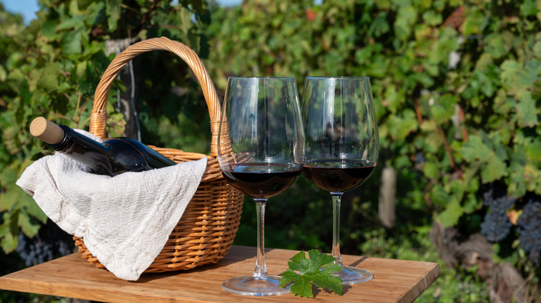 Red wines in Bordeaux with bottle in basket