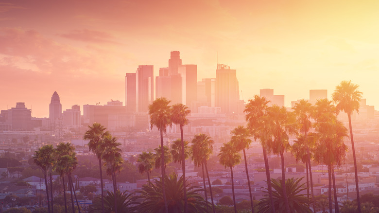 downtown los angeles with palm trees in foreground
