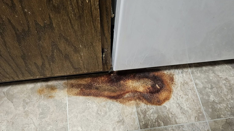 Close-up of rusty water stain at the bottom of home dishwasher.